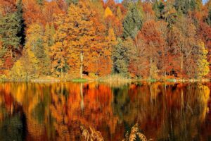 秋の紅葉が美しい自然の風景