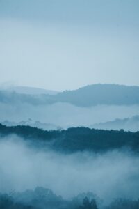 霧に包まれた静かな山の風景