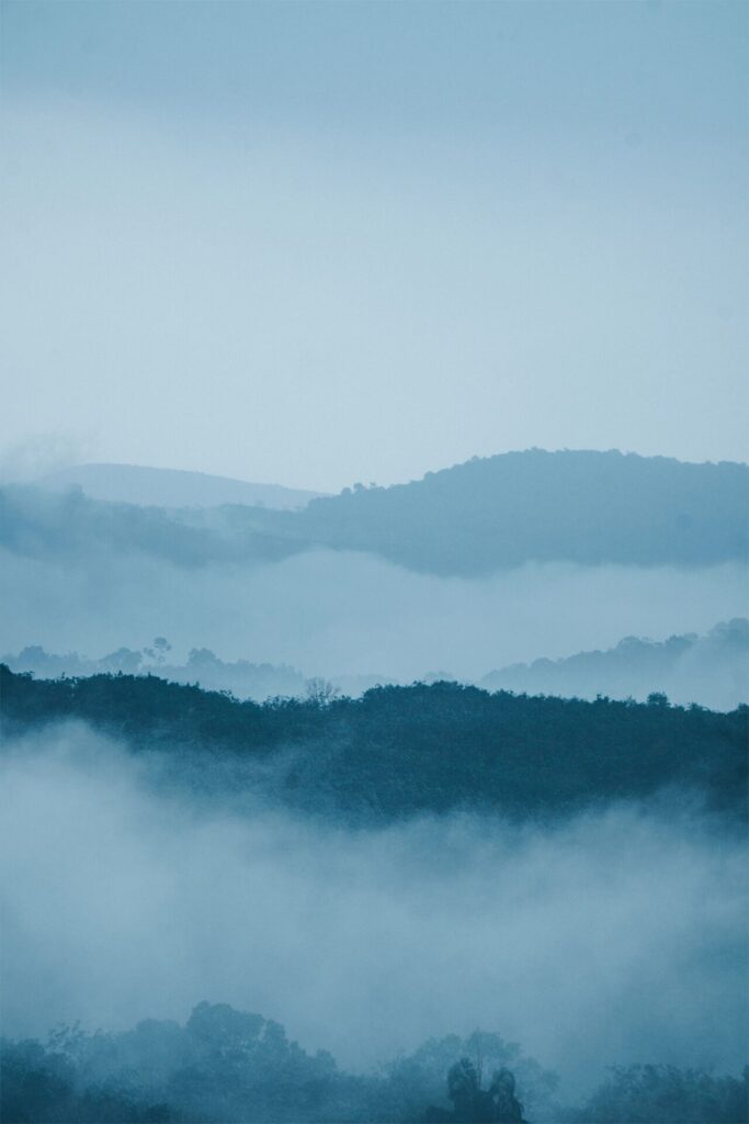 霧に包まれた静かな山の風景